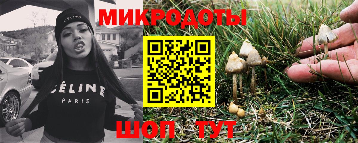 Галлюциногенные грибы MAGIC MUSHROOMS Сочи