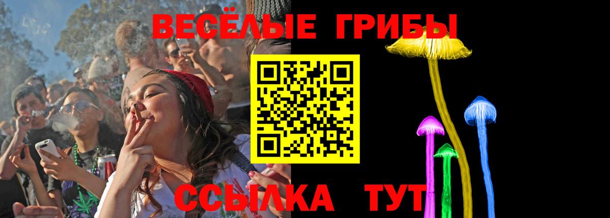 Галлюциногенные грибы Psilocybe  Вход с VPN  закладки  Сочи 